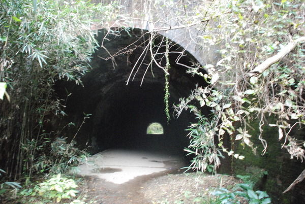 畑トンネル (9)