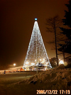tree