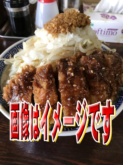 味噌カツの理想