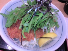 かつや 塩カツ丼