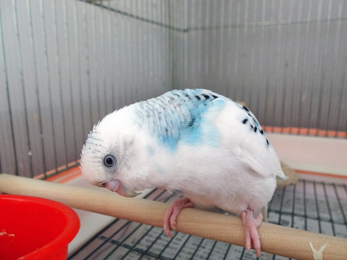 DSC03960