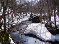20090321_01_2
