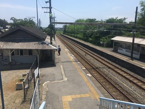 IMG_8639