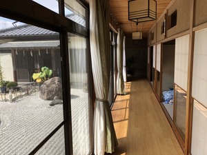 IMG_1237