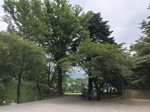 IMG_0941