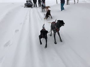 IMG_2458