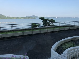 IMG_0785