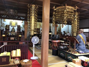 IMG_1230
