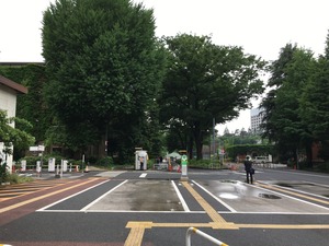 IMG_8260