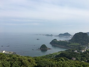 IMG_8595