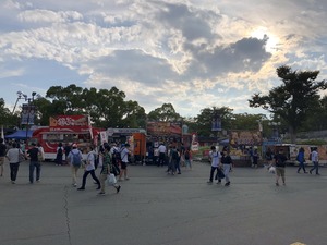 IMG_1254