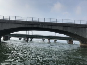 IMG_0906
