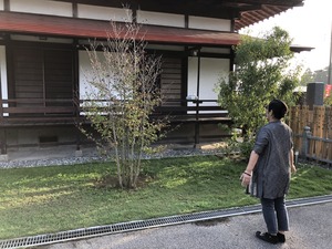 IMG_1231