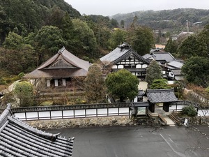 IMG_2901