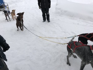 IMG_2454