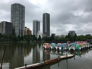 IMG_8255