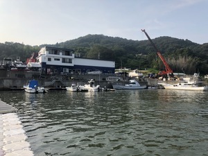 IMG_0925