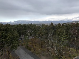 IMG_2902