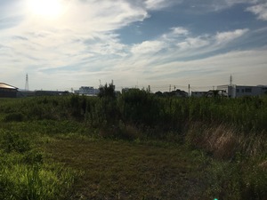 IMG_8612