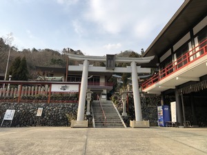 IMG_2887