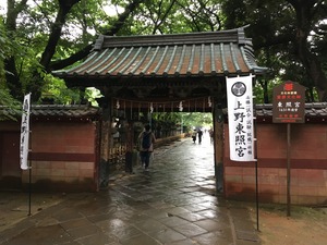 IMG_8251