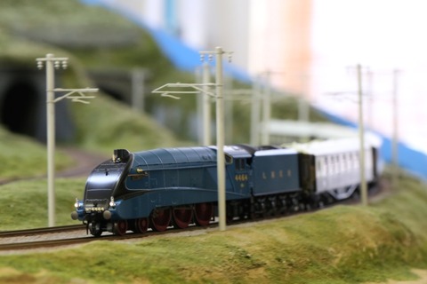 d97f7fe2-s.jpg