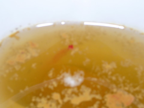 P1000555