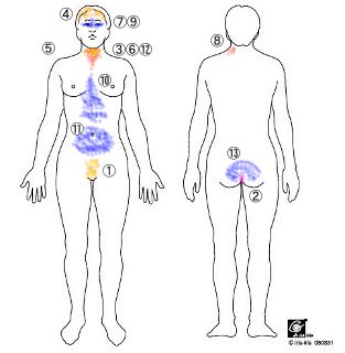 20090629body