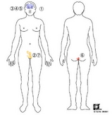 20090724body