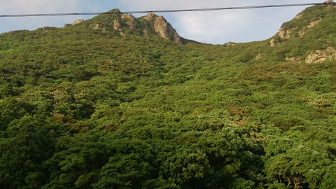 DSC_0037 (1)