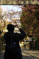 �̿��򻣤�ۿ�