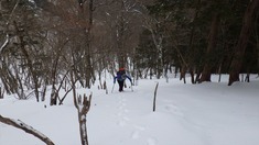 RIMG8463_R