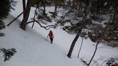 RIMG8583_R