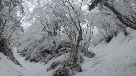 RIMG8363_R