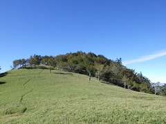 RIMG6783_R