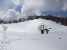 RIMG8985_R