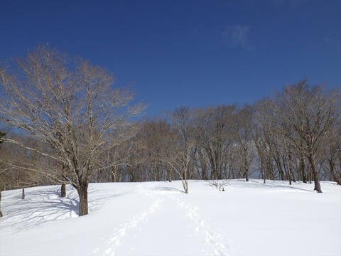 RIMG8966_R