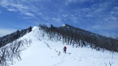RIMG8529_R