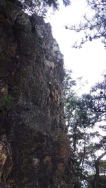 RIMG8817_R