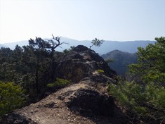 RIMG8781_R