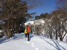 RIMG8936_R