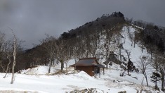 RIMG8600_R