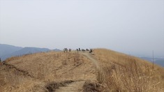 RIMG8823_R