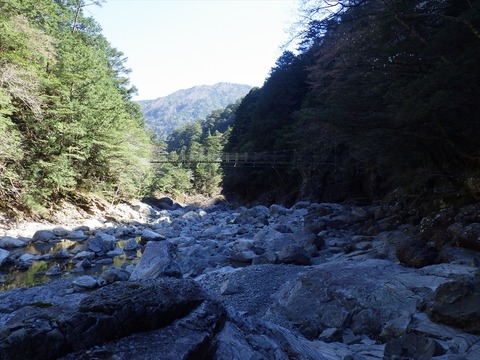 RIMG9165_R