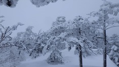 RIMG8631_R