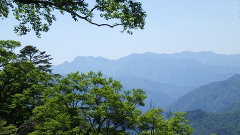 RIMG9645_R
