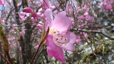 RIMG9563_R