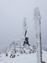 RIMG8657_R