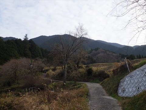 RIMG2234_R