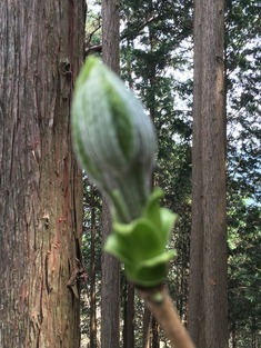 2017-05-01-10-58-31